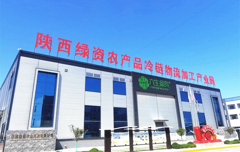洛川苹果：中国西北的一颗璀璨宝石