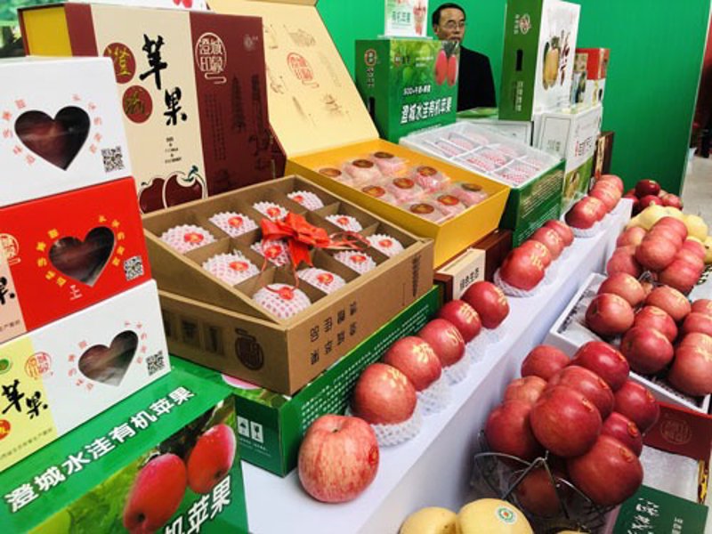 洛川苹果：一场甜蜜的产业振兴之旅