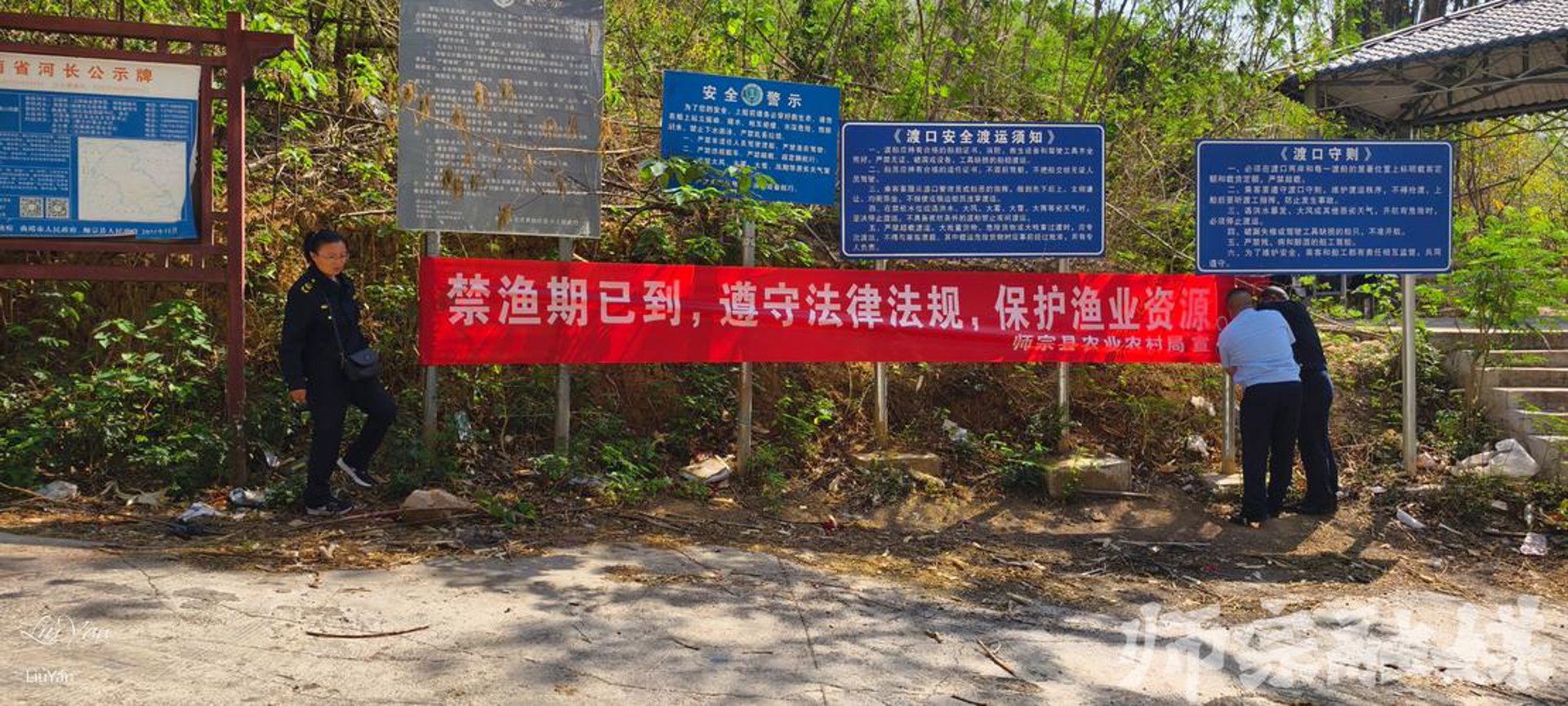 绿柳农产品